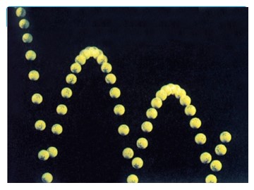 运动的合成与分解（张丽春）