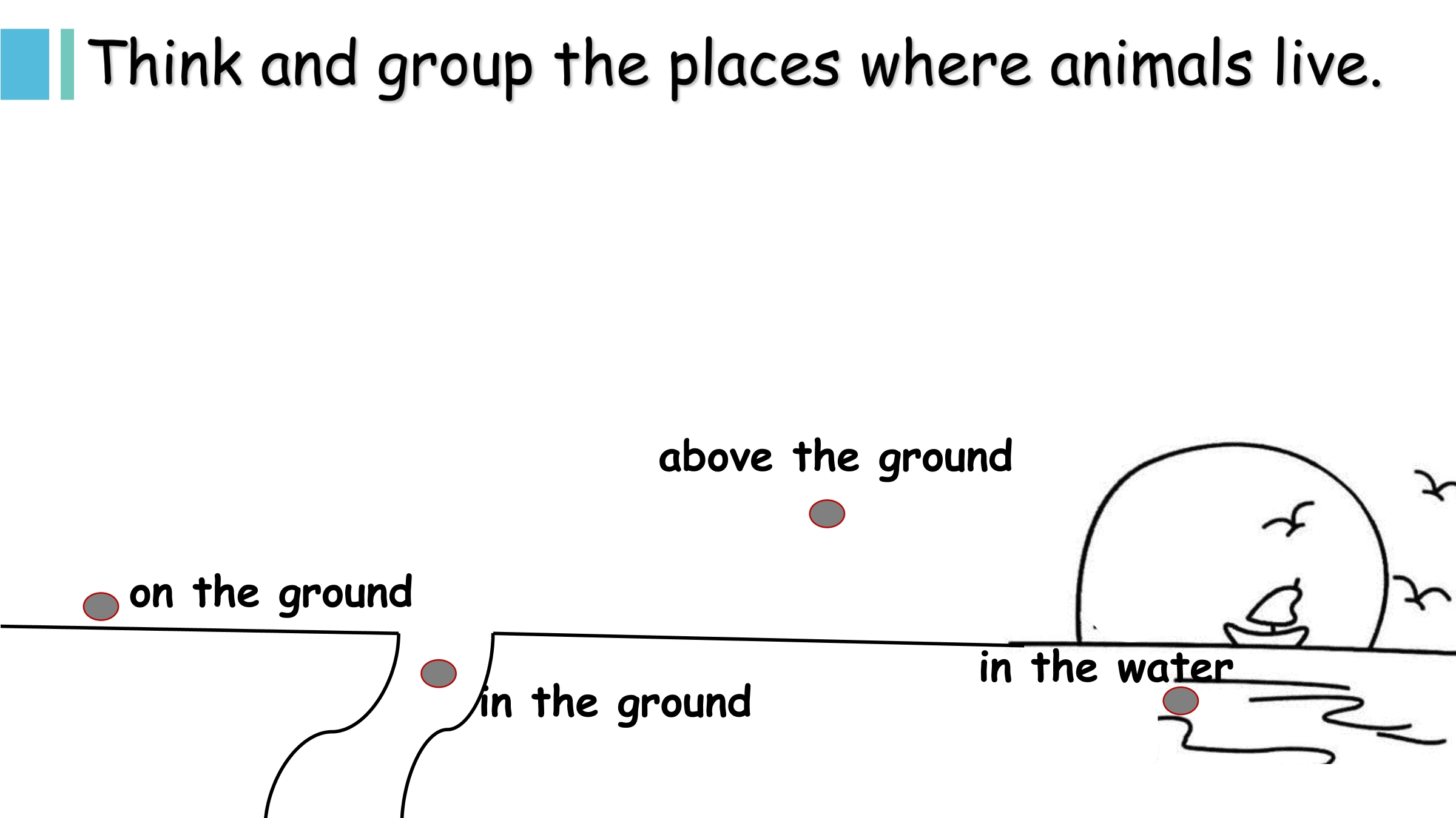 39.jpg