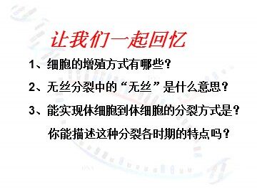一  减数分裂