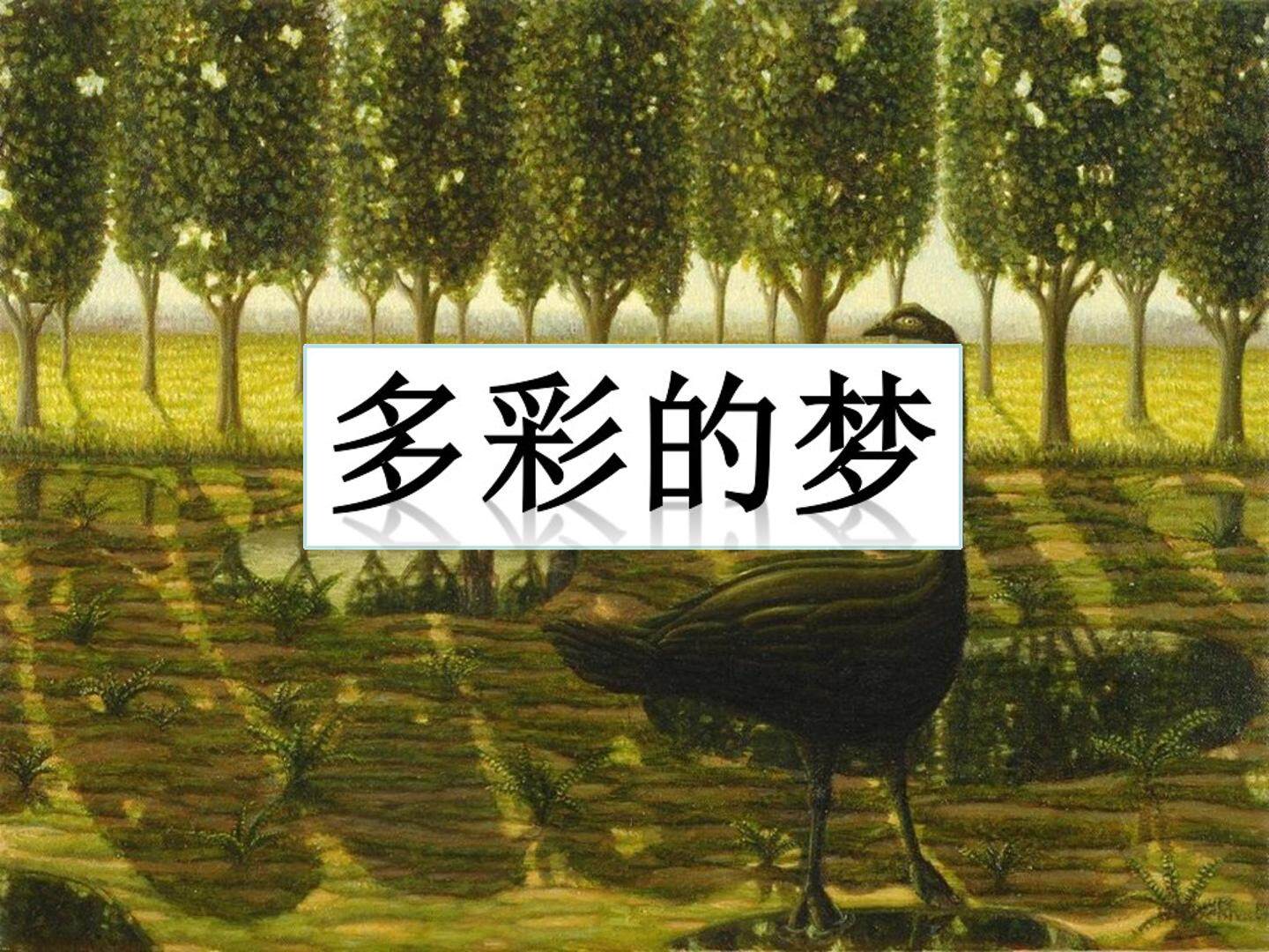 多彩的梦