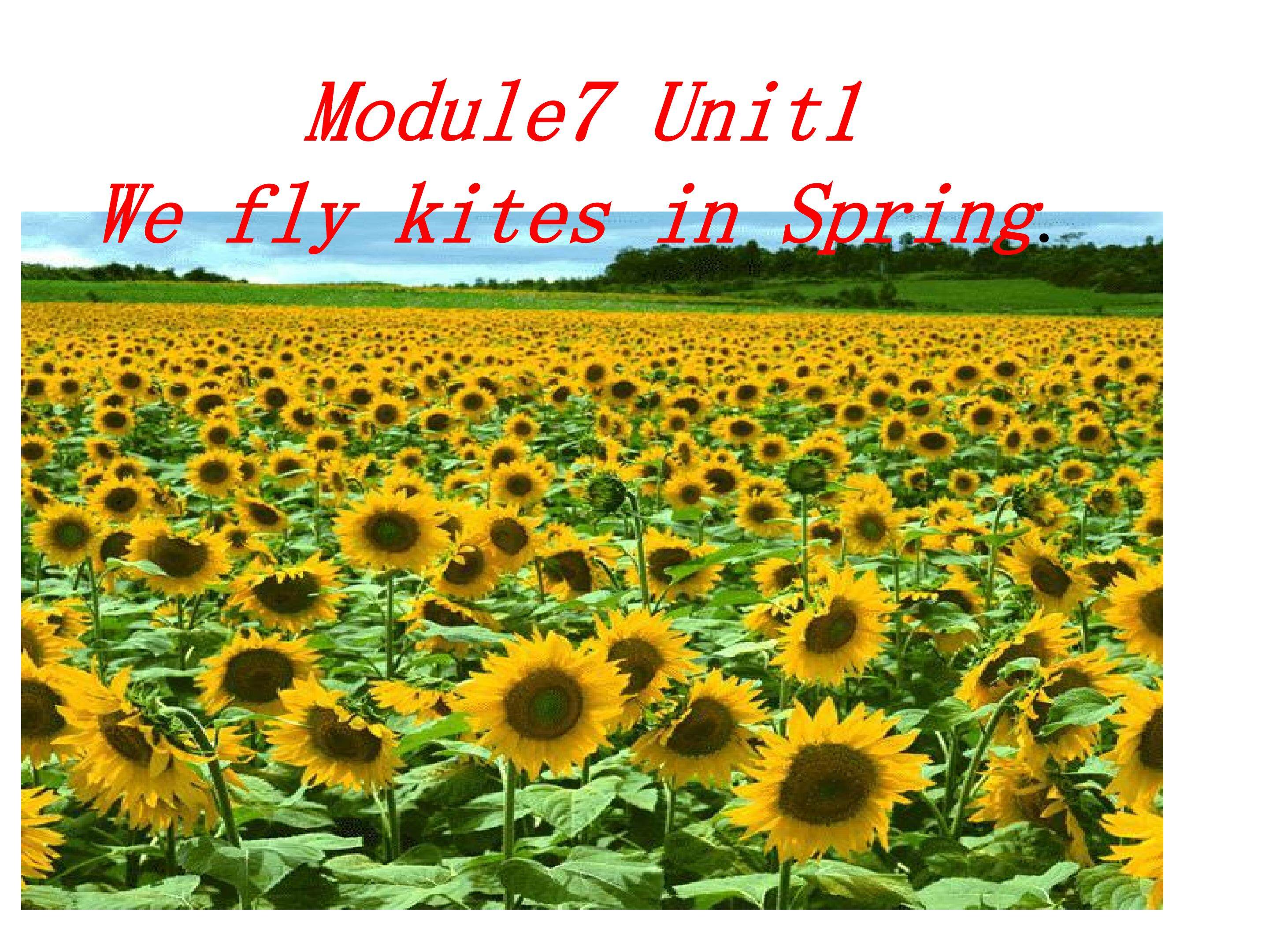 《We fly kites in spring.》课件
