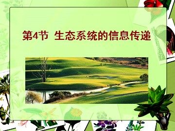 生物高中必修3第五章第四节课件12