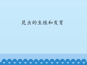 昆虫的生殖和发育_课件1