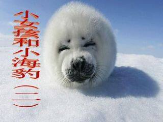小女孩儿和小海豹(二)_课件1