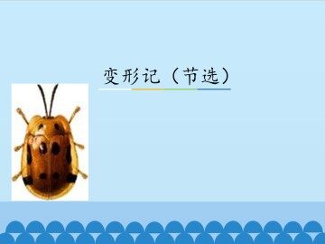 变形记（节选）_课件1
