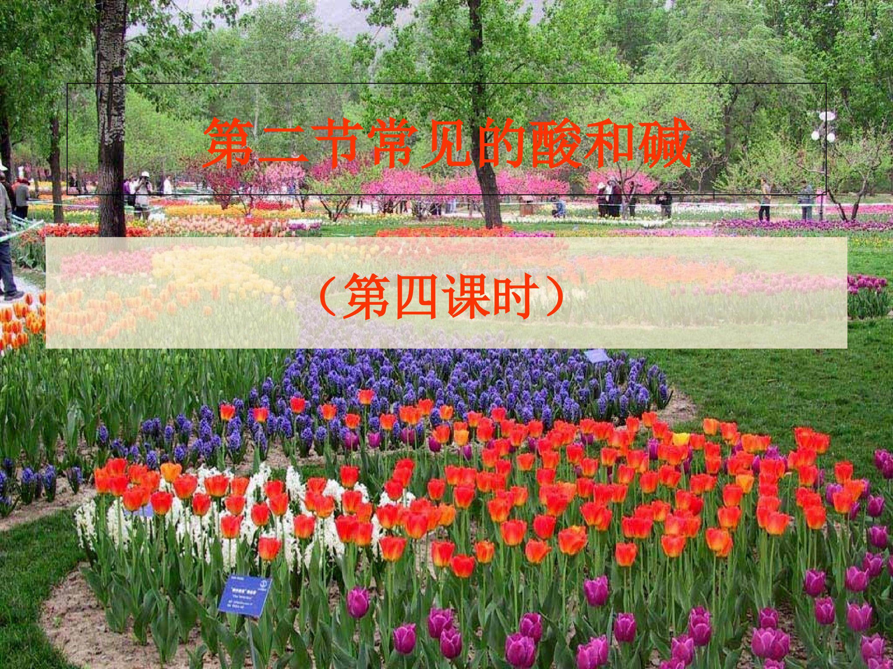 走进化学实验室