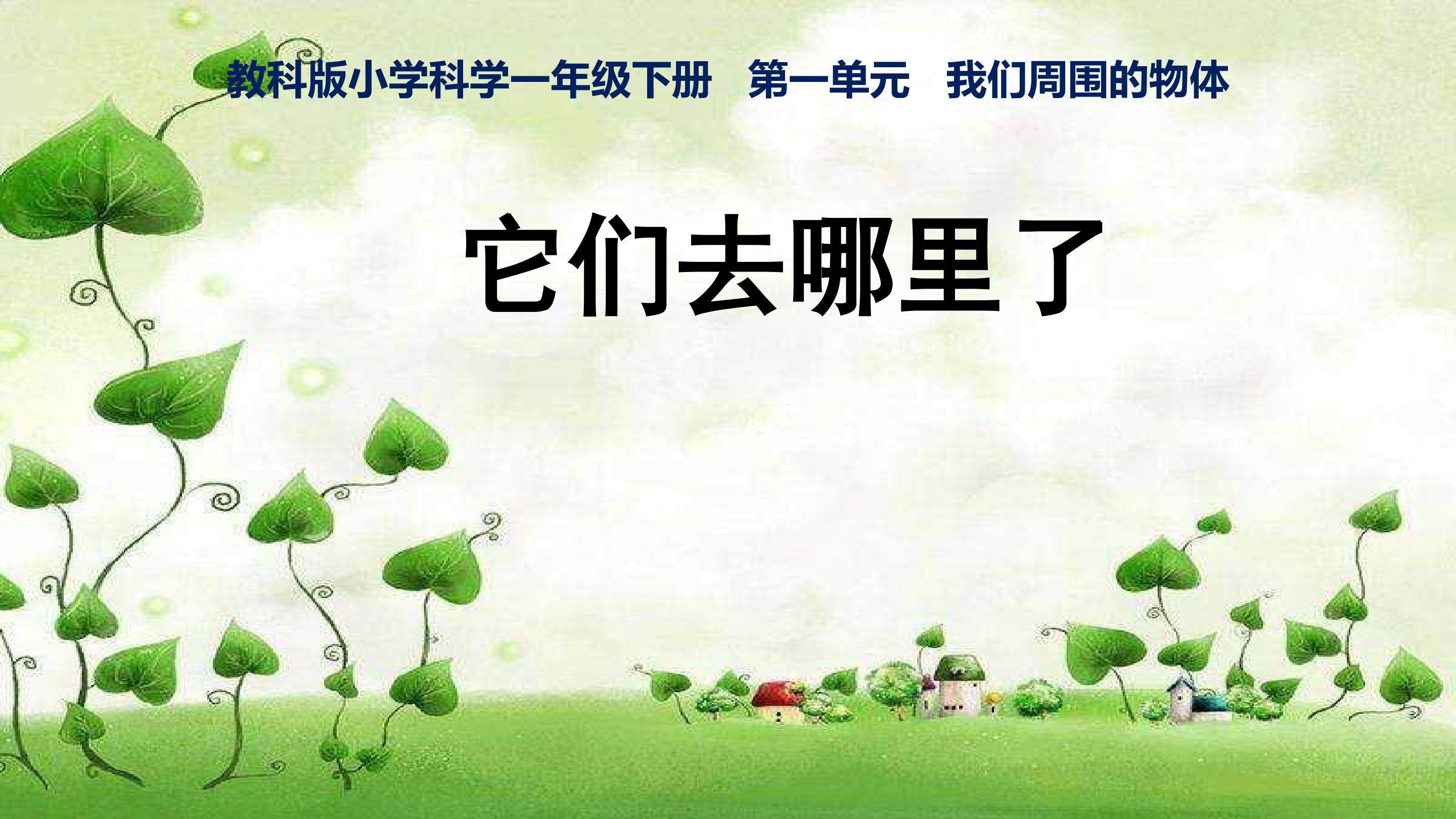 它们去哪里了实验说课课件