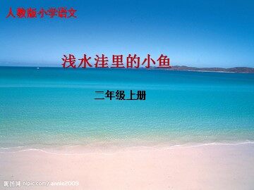 28 浅水洼里的小鱼 