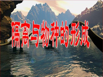 生物高中必修2第七章第二节第二课时课件2