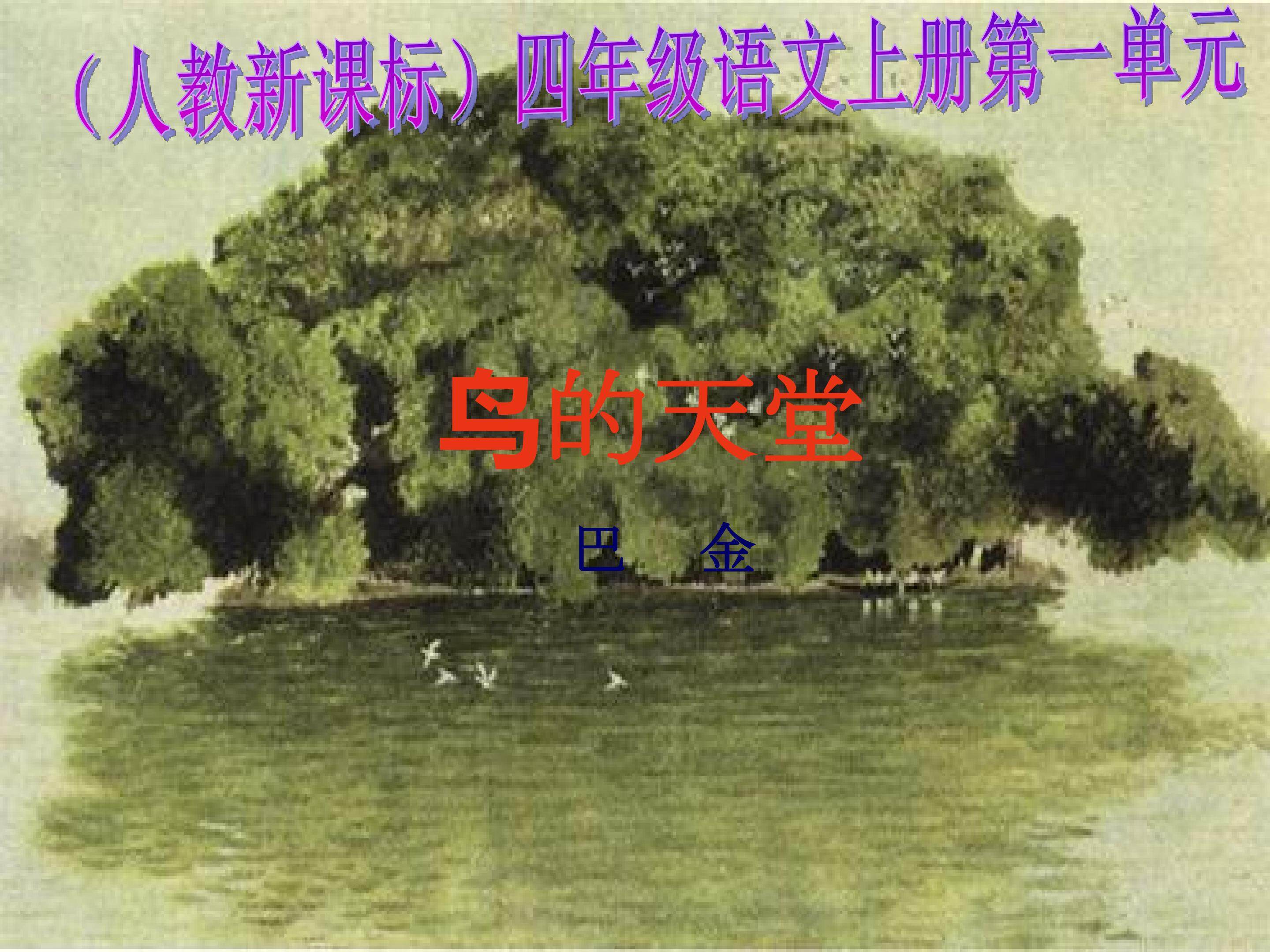 鸟的天堂