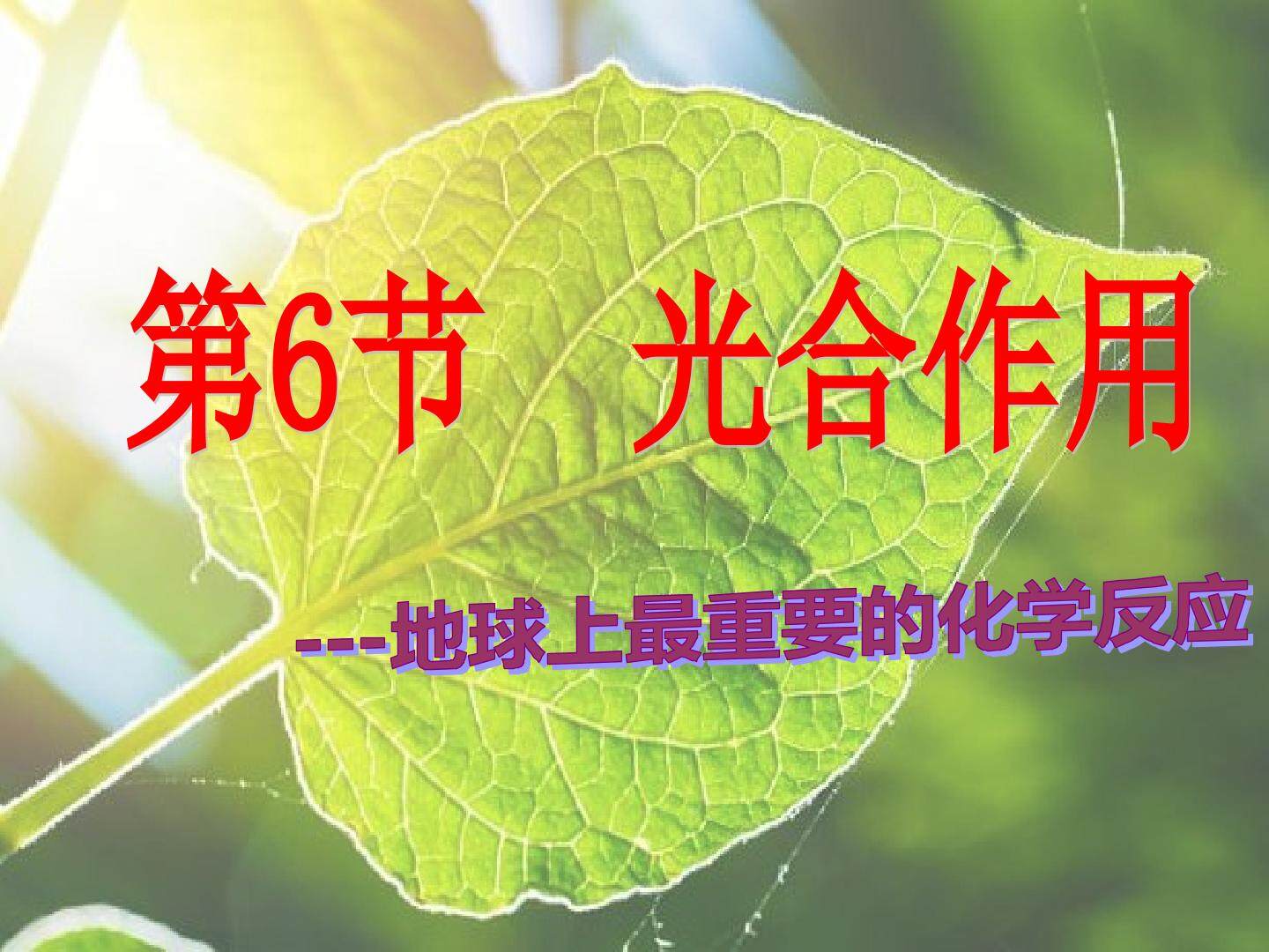 光合作用