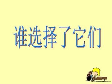 《谁选择了它们》课件2