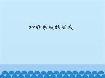 神经系统的组成_课件1