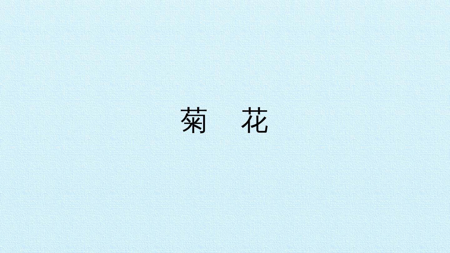 菊花_课件1
