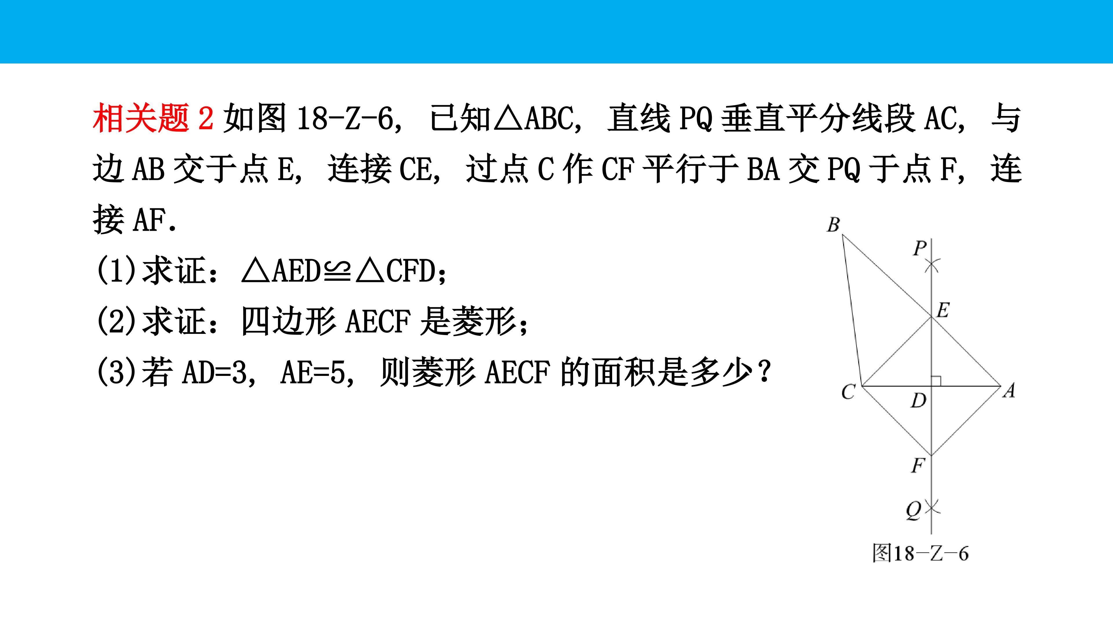 95.jpg