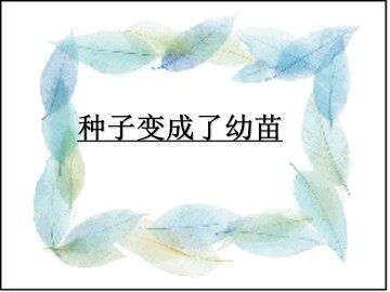 种子变成了幼苗_课件1