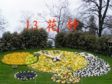 13 花钟