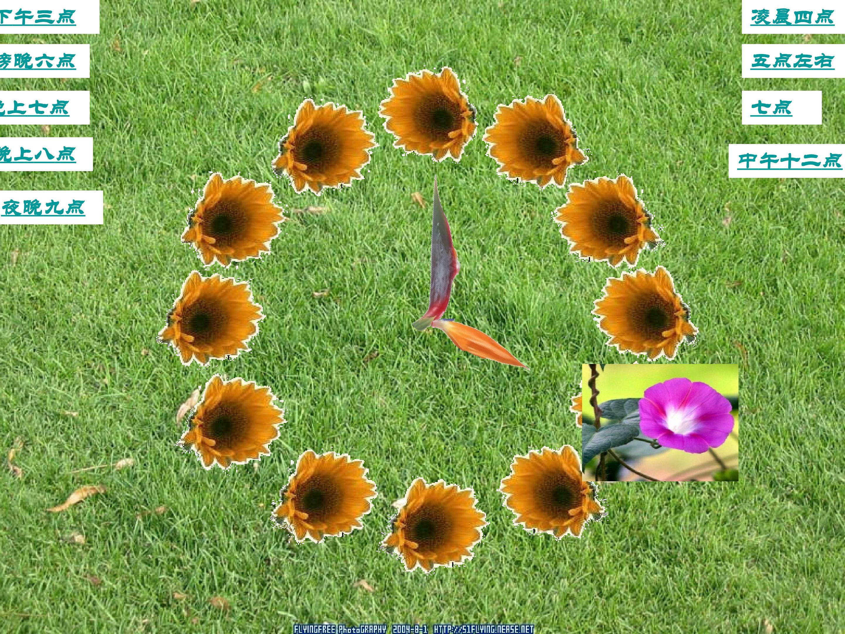 41.jpg