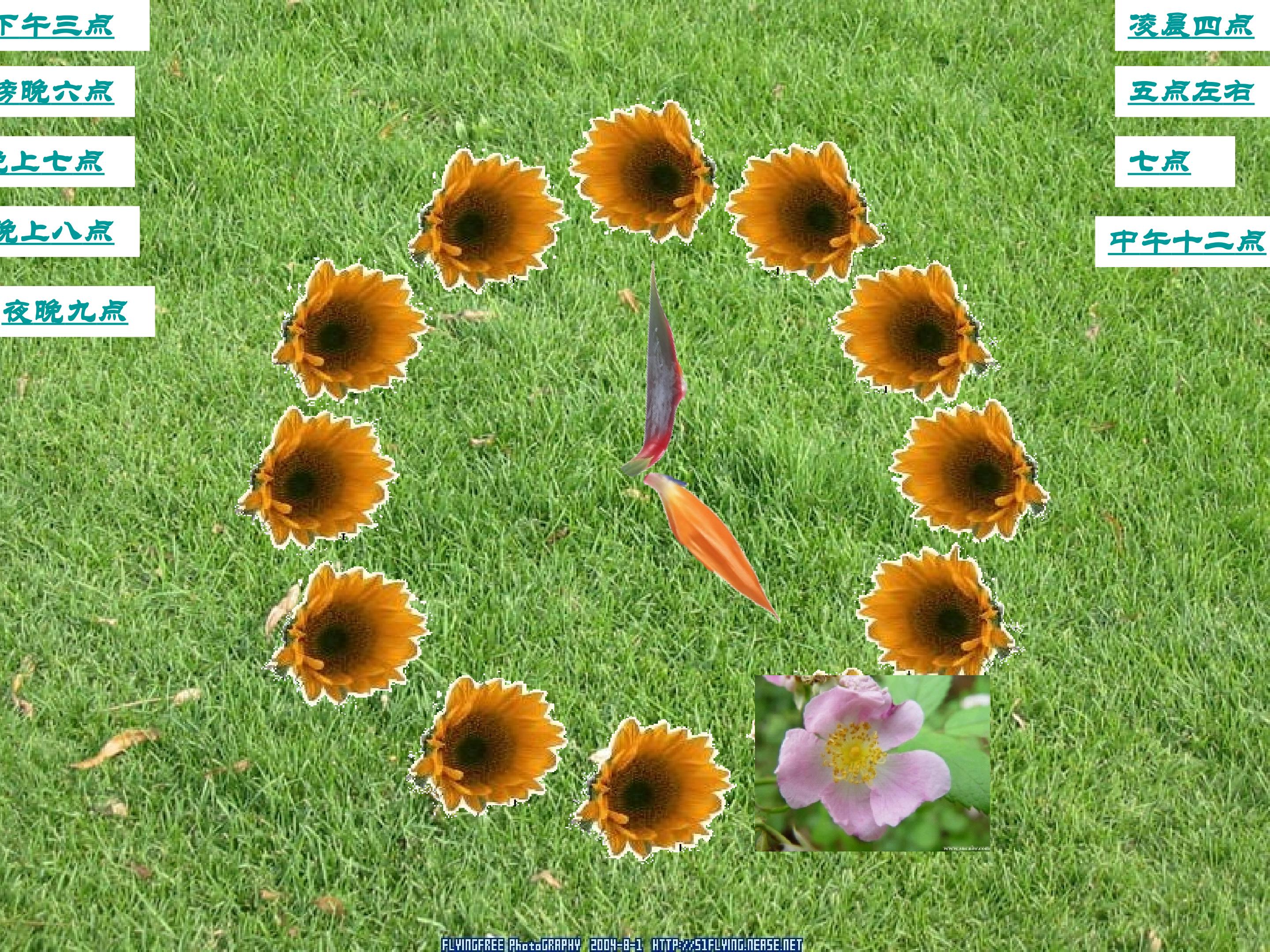 42.jpg