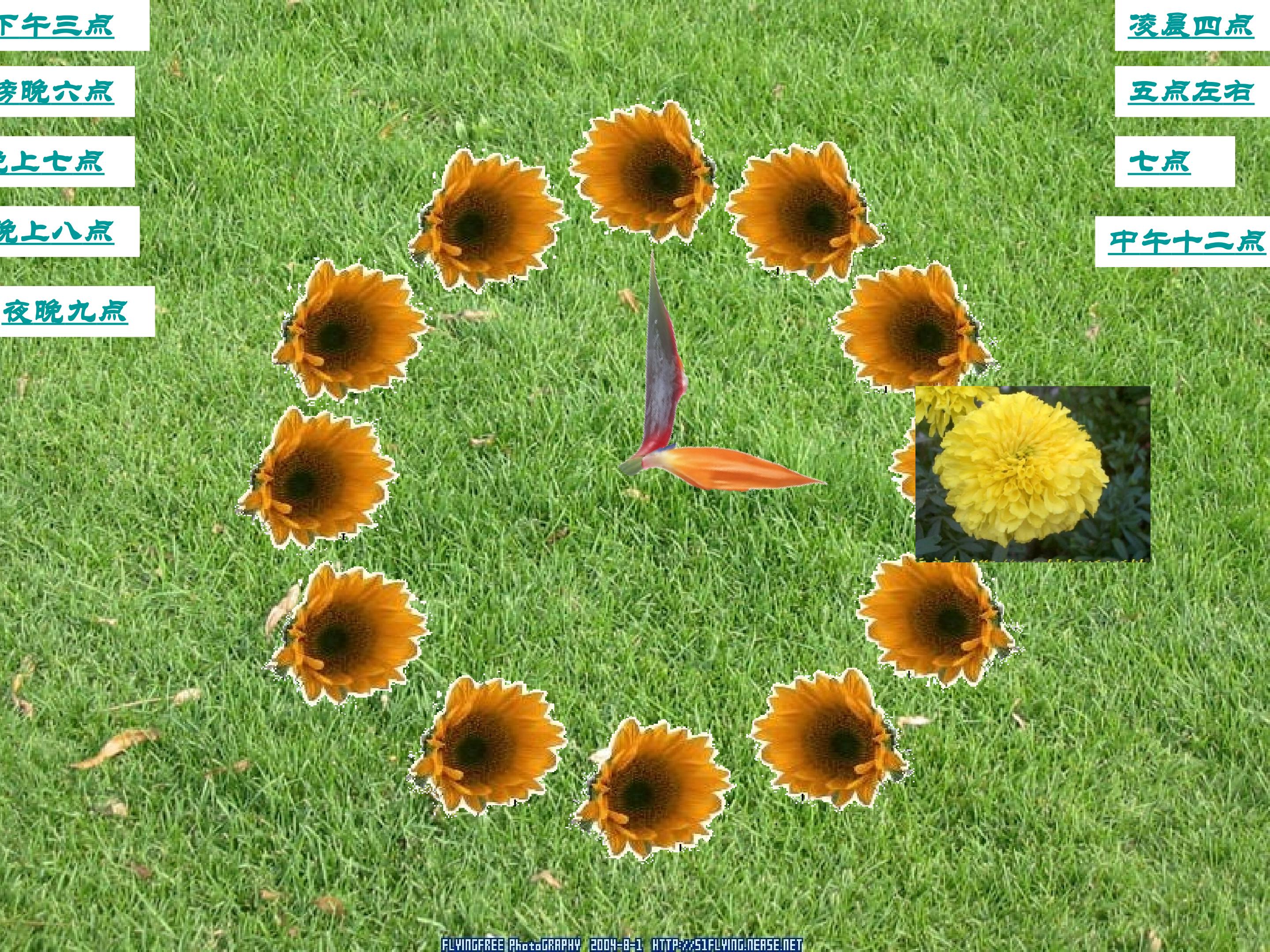 44.jpg