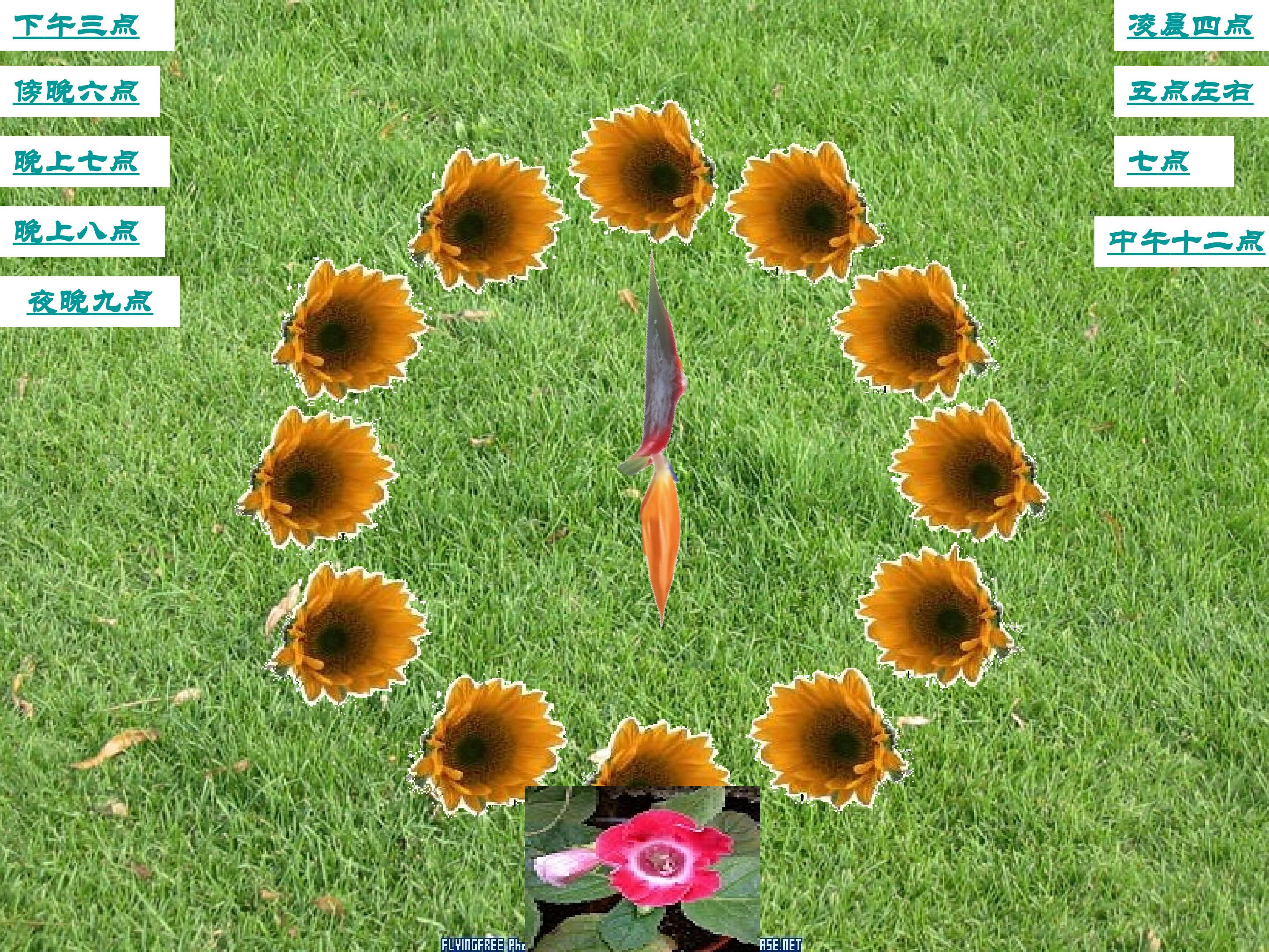 45.jpg