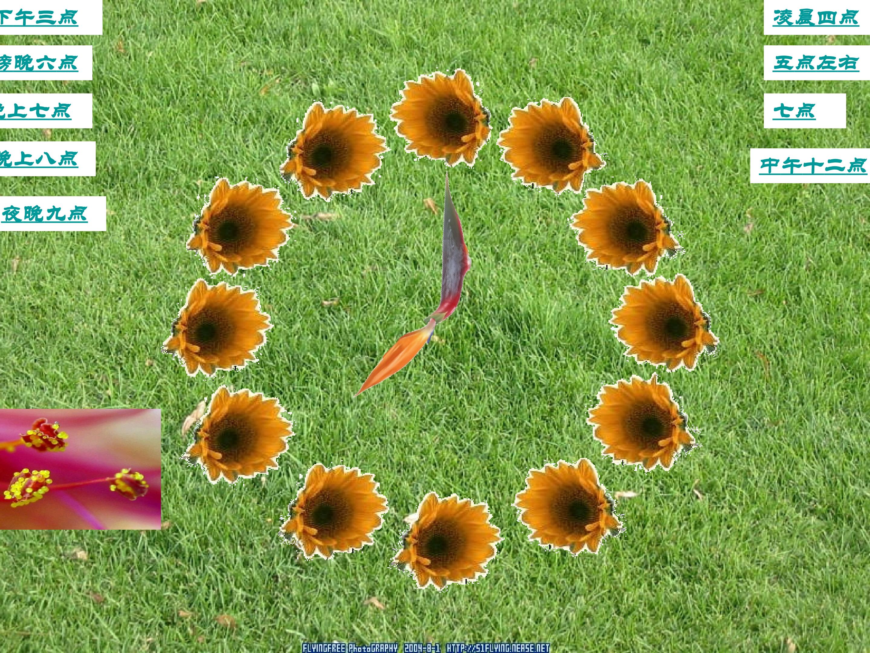 46.jpg