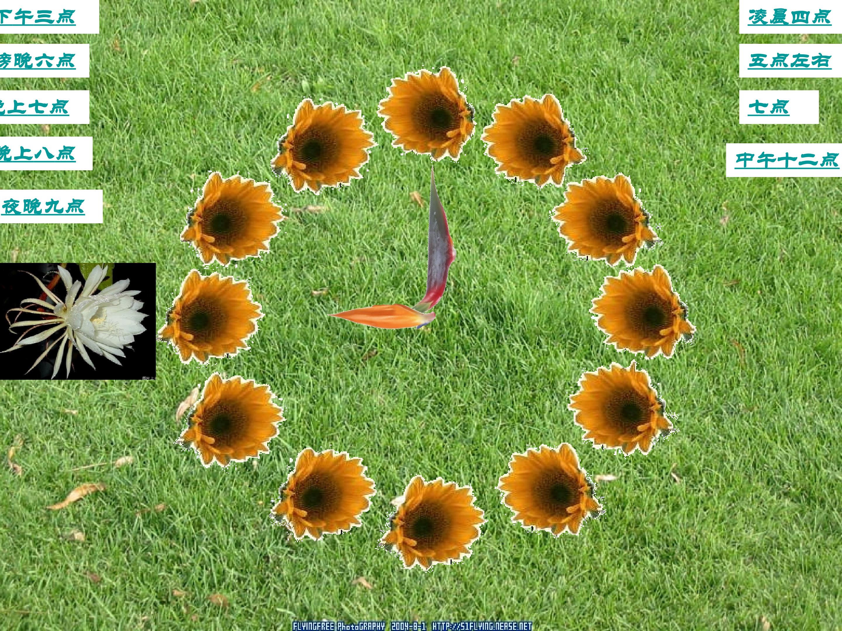 47.jpg
