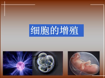 细胞的增殖_课件1