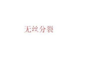无丝分裂_课件1
