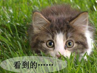 长方体正方体的整理与复习