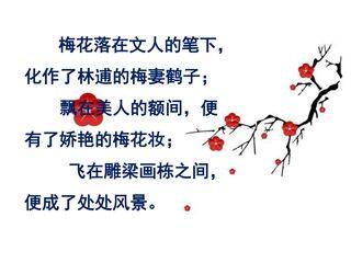 部编版八年级下册语文课件第六单元课外古诗词诵读《卜算子咏梅》(共29张PPT)