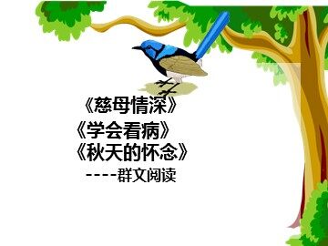 18* 慈母情深