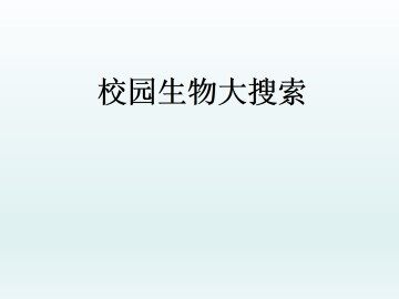 校园生物大搜索_课件1