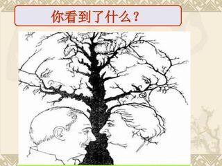 人体对外界环境的感知 (眼和视觉)