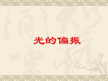 光的偏振_课件2