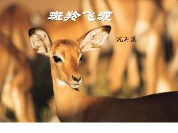 斑羚飞渡_课件14