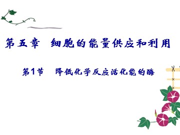 一  酶的作用和本质