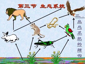 生物高中必修3第五章第一节课件3