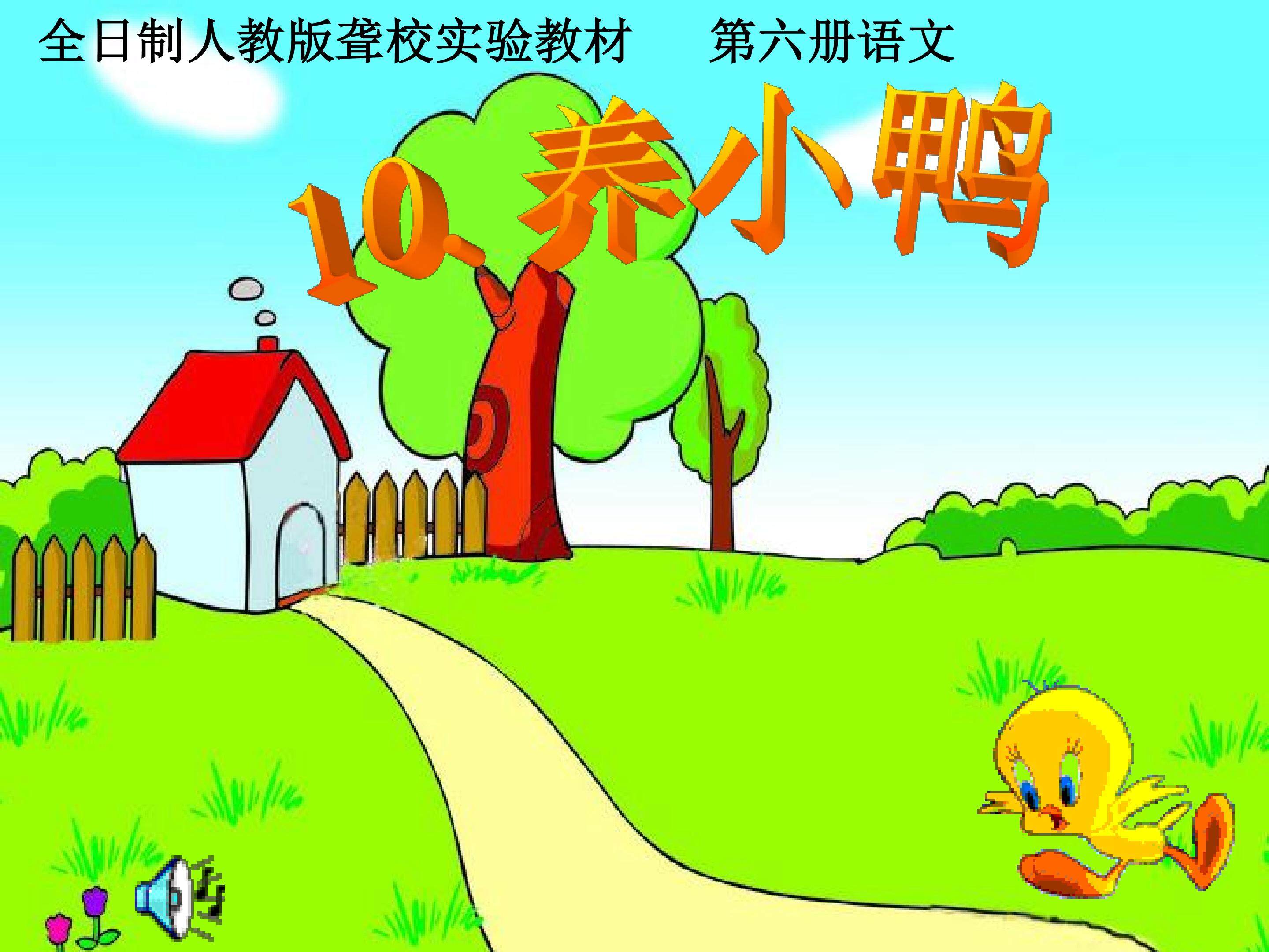 养小鸭