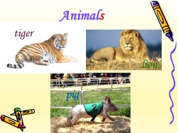 Animals_课件1