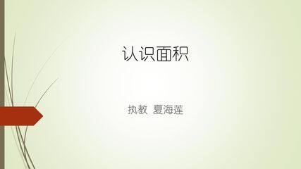 认识面积