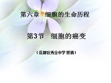 生物高中必修1第六章第四节课件9