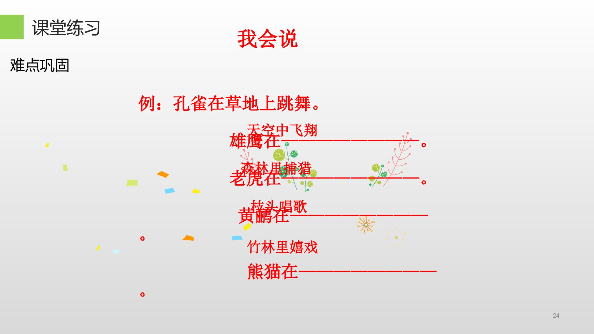 24.jpg
