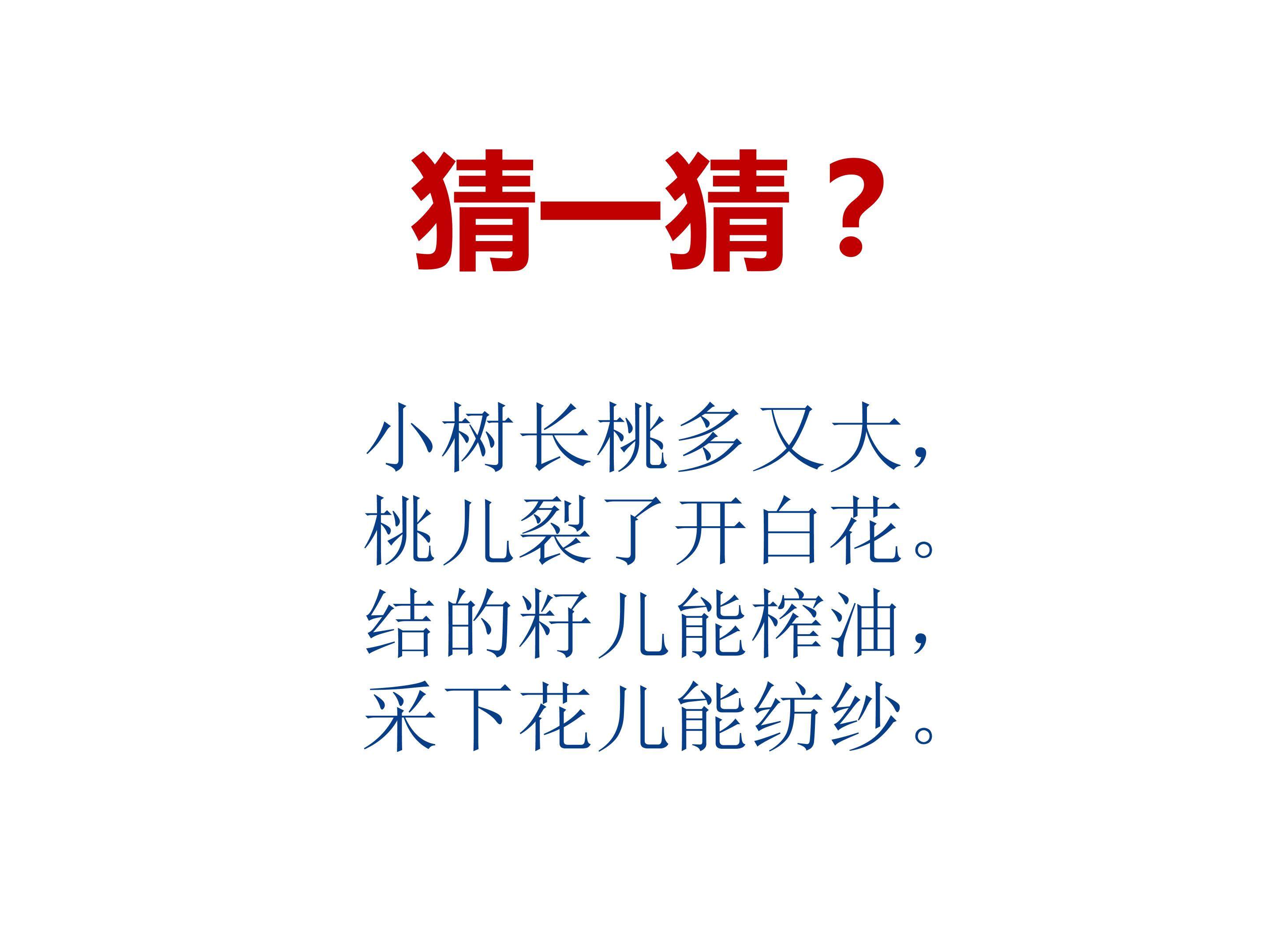 《棉花姑娘》
