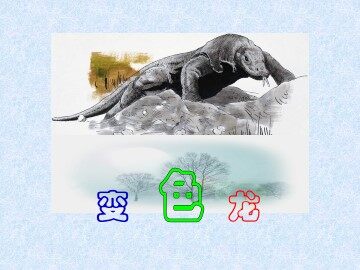 变色龙_课件1