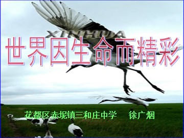 思想品德七年级上册第二单元第三课第一框的教学课件1