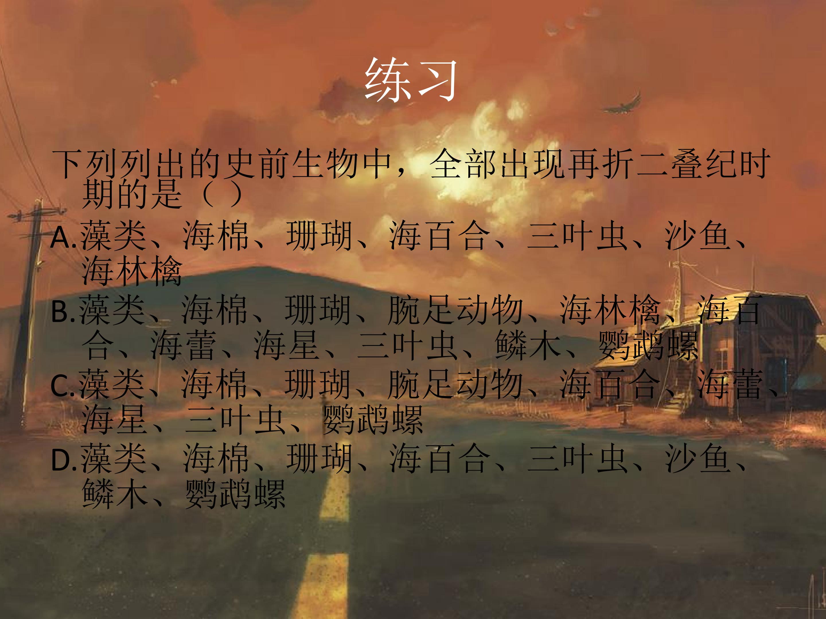 48.jpg