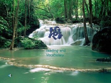 Animals in Danger_课件9