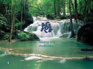 Animals in Danger_课件9
