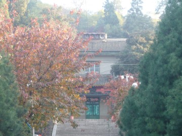 2.功